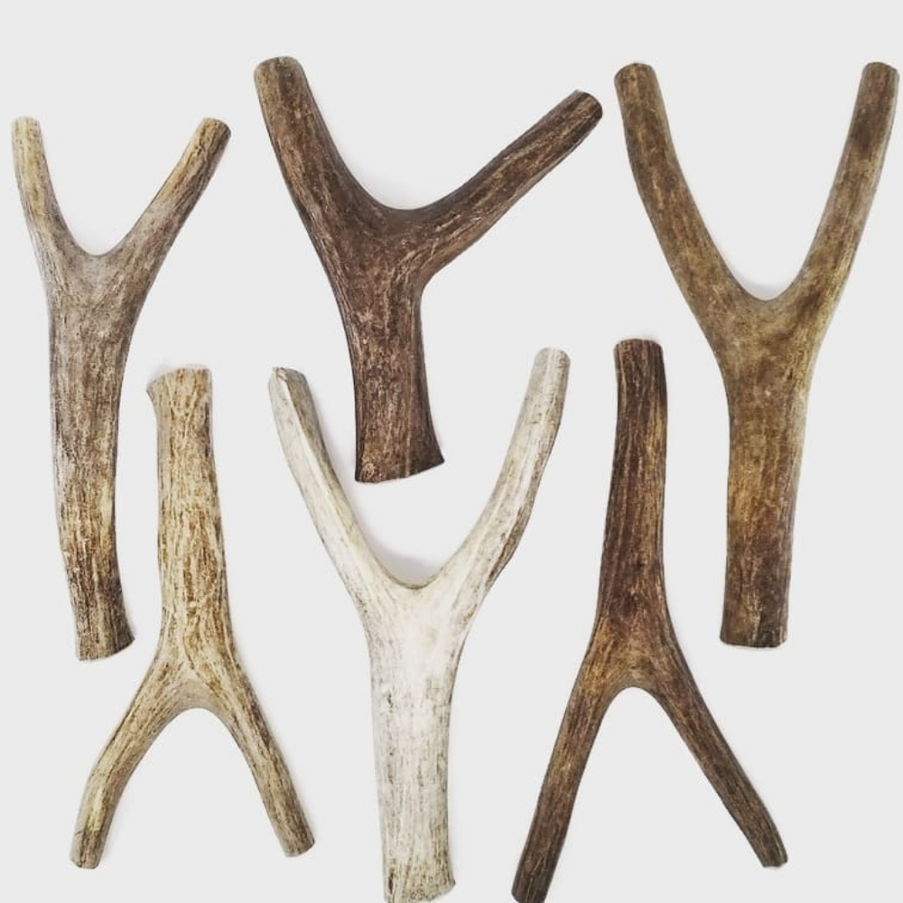 One Forked Mule Deer Antler Dog Chew Toy